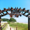 솔모랫길 이미지