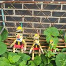 손커피연구소 이미지