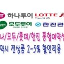 (주)지성항공여행사 이미지