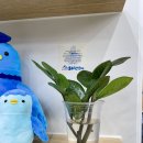 교촌치킨순천대점 이미지