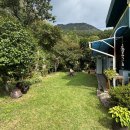 가정1-03-055 이미지