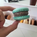 대전 마카롱 맛집 슬기정에서 마카롱 먹어본 후기 :) 대전 마카롱 추천