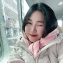 삿포로 비에이 흰그림자투어 여자혼자여행 후기