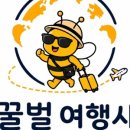 꿀벌여행사 네이버블로그