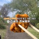 전설의 옛날통닭 이미지