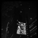 다시 셰익스피어와 만나다 이미지