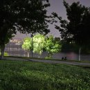 에이스타운/에이스타워 | 2025년 6월 모음 (+ 롯데월드 후기)