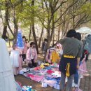 더에스지에이