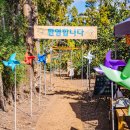 경진이네감귤농장 - 서귀포시 신례로379번길 25 | 경진이네감귤농장