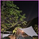 숲과개울펜션야영장 | 평창 애견동반 힐링숙소[숲과개울 오토캠핑&amp;펜션]