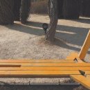 사랑의 벤치 이미지