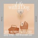 (주)와이티 | 동탄 애견동반 감성 셀프사진관 | 와이티스튜디오 :: 만삭사진, 아기사진, 백일사진, 가족사진, 우정사진