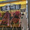 펫마트제주삼화점