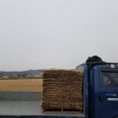 청은농장 이미지