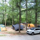 피노키오 자연휴양림 야영장 이미지