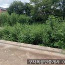 선원면사무소 네이버블로그