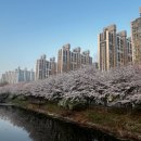 계양경기장-서운체육공원 이미지