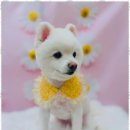 온 그루밍 이미지