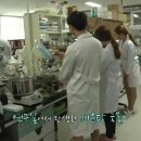 청운면메기마을