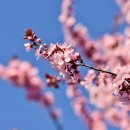 월드컵경기장-입구(광장) 이미지