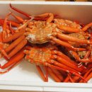 매화상회 이미지