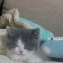 만남-행복한꿈 이미지