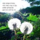 기적 행정사 사무소 이미지