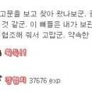 미천리 고분군 네이버블로그