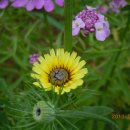 화랑대역 이미지