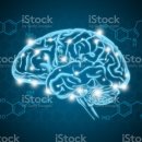 버르장머리 이미지