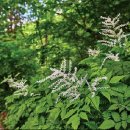 단곡화장실2 이미지