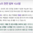 ROSE(로즈)헤어