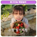 수향농장 이미지