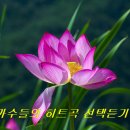 (1644) 스타 가수들의 히트곡 선택듣기(9곡) 이미지