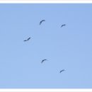 지금 여기 이미지