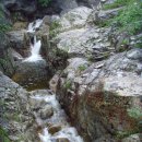 오대산휴게소 이미지