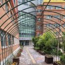 학동초교 이미지