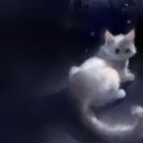 윤수집