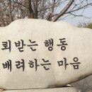 서판교로132번길 이미지