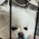 그린종묘농약사 네이버블로그