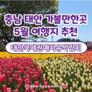 [국내]충남 태안 안면도 5월 꽃축제 가볼만한곳 가족 여행지 데이트 추천 | 2026 태안국제원예치유...