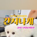 간지나개 이미지