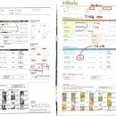 리부트핏 이미지