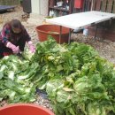 김장하는날 이미지