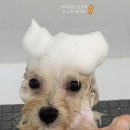 러브몽먼트 이미지