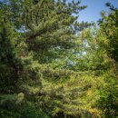 보성여중고입구 버스정류소 이미지