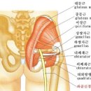 똑똑한몸만들기 이미지