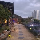 리틀 포레스트 펜션 이미지