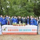 선진동물병원 이미지