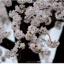 🌺 4월 9일 출석부 "관절 건강" 이미지